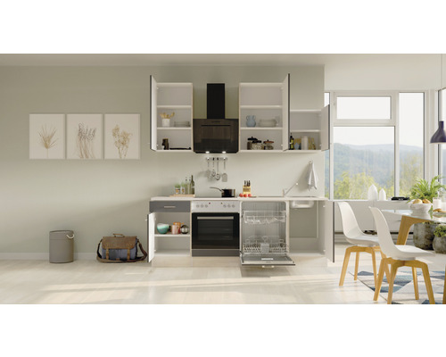 Cuisine moderne avec lave-vaisselle, cuisinière, hotte aspirante et armoires suspendues.