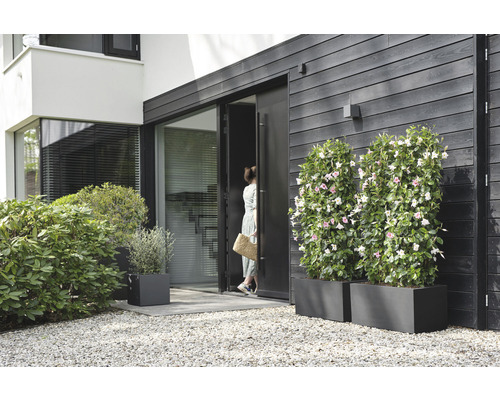 Photo extérieure d''une maison avec des bacs à plantes et une femme entrant par une porte.