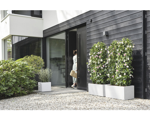 Vue extérieure d''une maison moderne avec bacs à plantes et femme à la porte