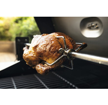 Poulet grillé sur broche dans le barbecue