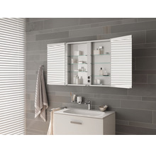 Spiegelschrank KEUCO Royal Match 100 x 16 x 70 cm alufarben 2-türig LED IP 20