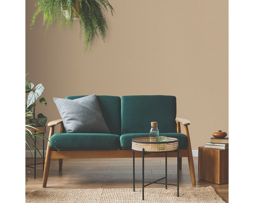 Salon avec canapé vert, table d''appoint et plantes d''intérieur pour une ambiance chaleureuse