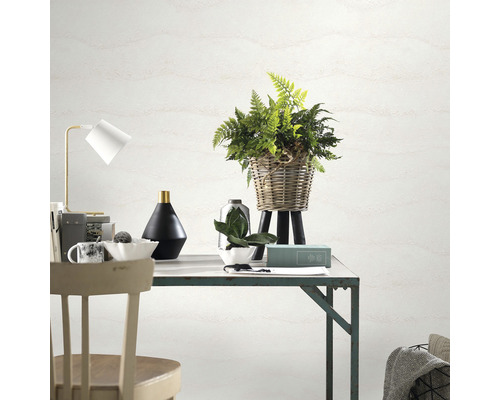 Scène avec bureau, lampe de bureau, décoration et plantes d''intérieur