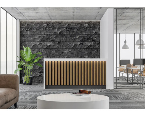 Empfangsbereich mit Rezeptionstresen, Steinwand und Zimmerpflanze