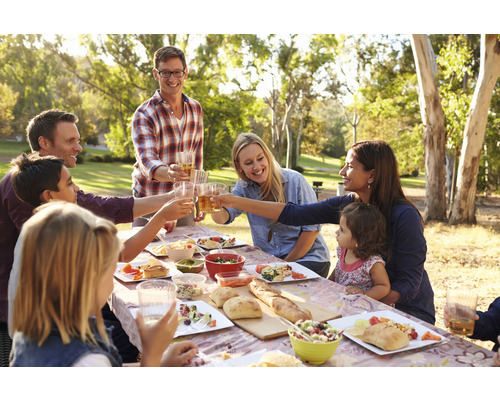 Familie prostet sich bei einem Picknick im Freien zu