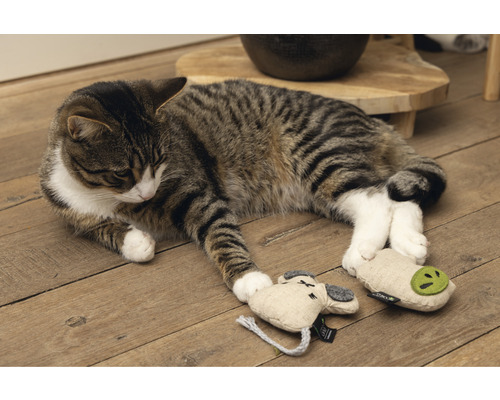 Getigerte Katze liegt auf Holzboden und spielt mit Katzenspielzeug.