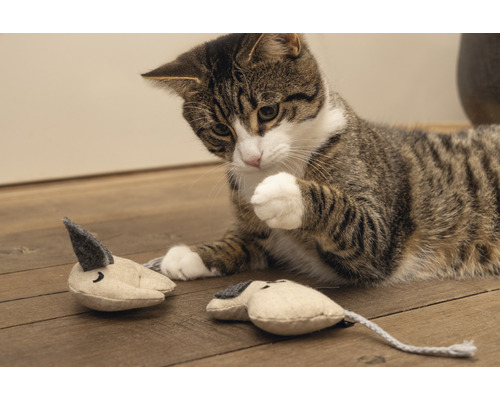 Getigerte Katze spielt mit zwei Katzenspielzeugmäusen auf einem Holzboden.