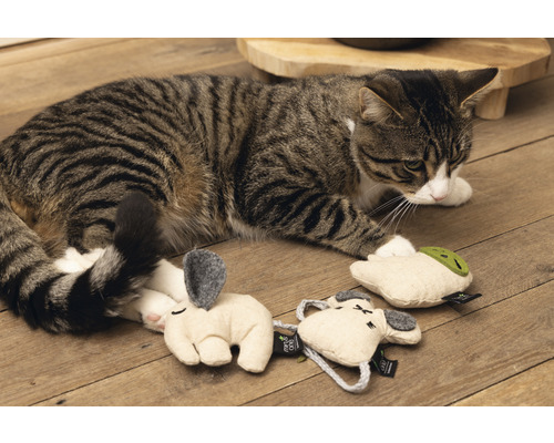 Katze spielt mit Katzenspielzeug auf Holzboden