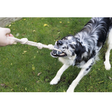 Ein Hund spielt mit einem Seilspielzeug im Freien.
