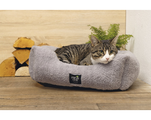Katze liegt in einem grauen Tierbett von Minus One
