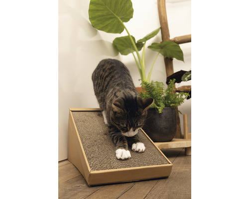 Katze kratzt an einem Kratzbrett aus Wellpappe.