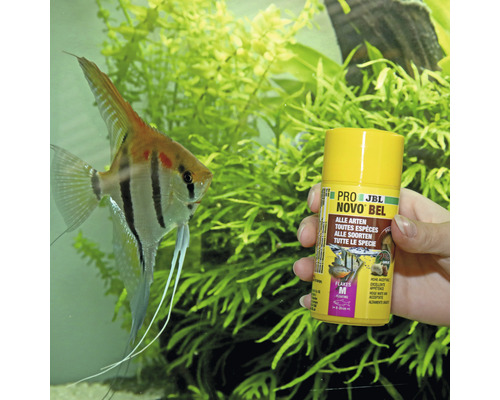 Aquarium mit Zierfisch und Dose Fischfutter