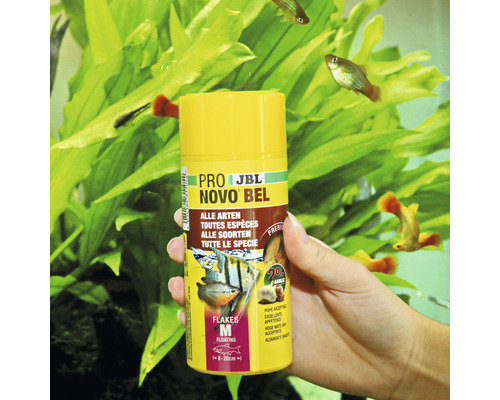 JBL NovoBel Fischfutterdose für alle Fischarten