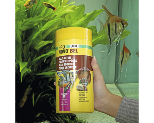 Boîte d''aliments pour poissons JBL NovoBel dans un aquarium