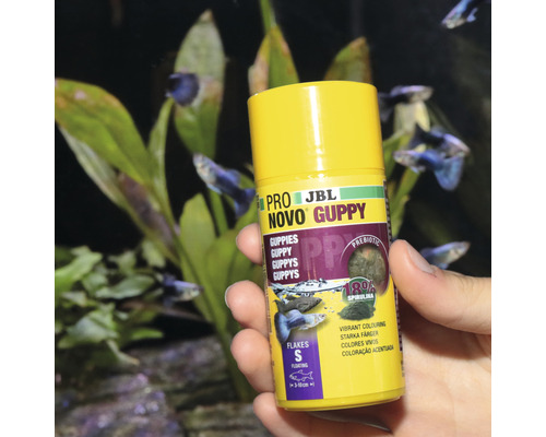 JBL Novo Guppy Pro Fischfutter für Guppys
