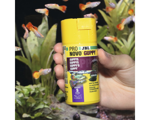 JBL Pro Novo Guppy Fischfutter Dose in der Hand vor Aquarium