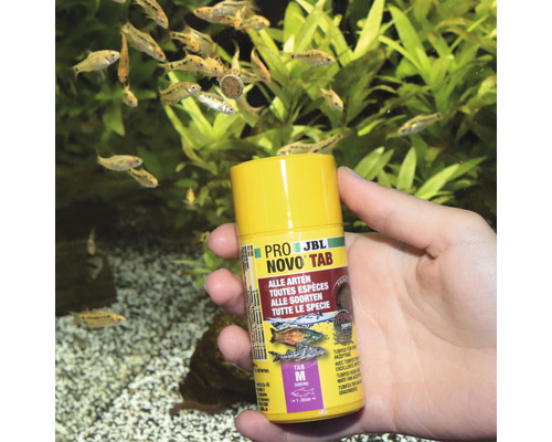 JBL Novo Tab M Futtertabletten für Fische in Hand vor Aquarium