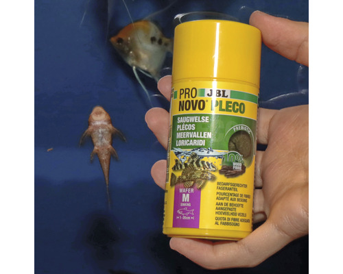 JBL Novo Pleco Futtertabletten für Welse