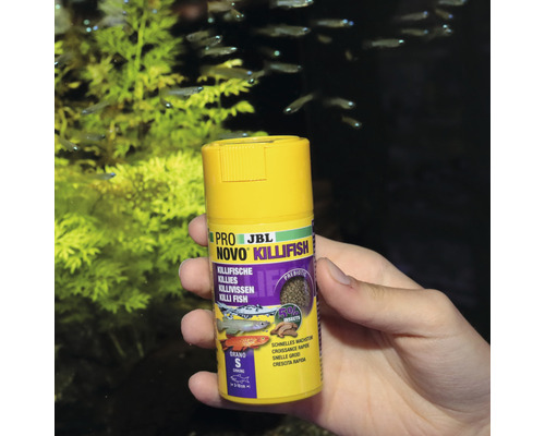 JBL Pro Novo Killifish Futterdose für Killifische