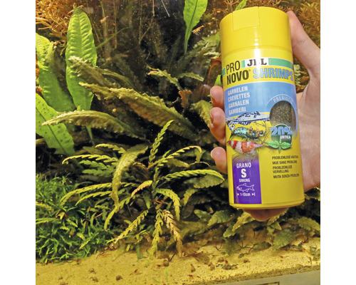 JBL Novo Shrimp Garnelenfutter Dose vor Aquarium