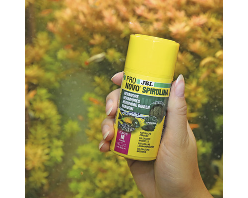 JBL Pro Novo Spirulina Fischfutter für Pflanzenfresser in gelber Verpackung