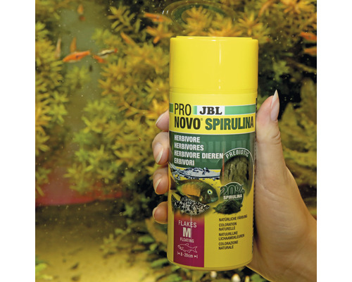 JBL Novo Spirulina Fischfutter für Pflanzenfresser