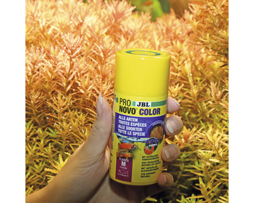 JBL Pro Novo Color Fischfutter Dose in der Hand