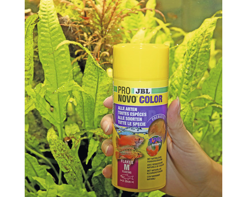 JBL Novo Color Fischfutter für alle Zierfischarten