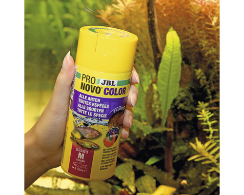 JBL Pro Novo Color Fischfutter Dose in der Hand