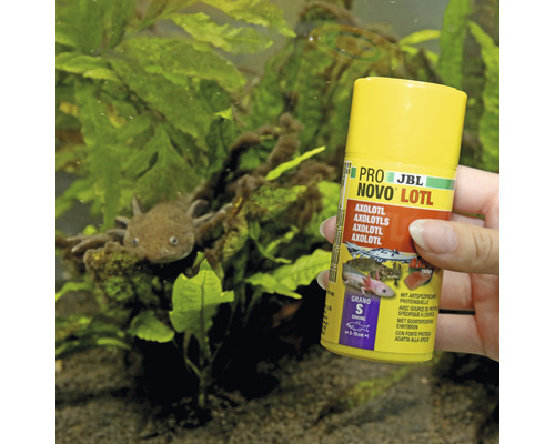 JBL Pro Novo Lotl Axolotl Futterdose im Aquarium