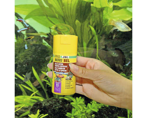 JBL Novo Bel Fischfutter Dose im Aquariumhintergrund