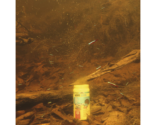 JBL Novo Neon Fischfutter im Aquarium