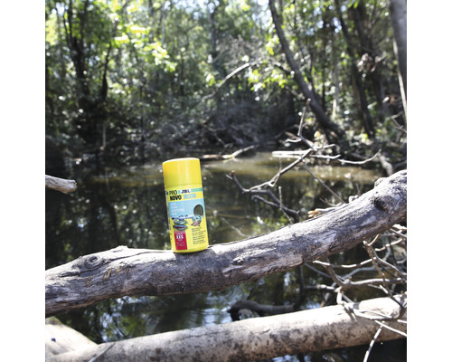 JBL Novo Pleco Futtertabletten auf einem Baumstamm