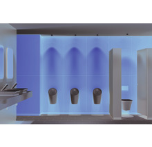 Toilettes publiques avec lavabos, urinoirs et cabines de toilettes