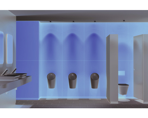 Öffentliche Toilette mit Waschbecken, Urinalen und Toilettenkabinen