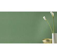 Papier peint intissé 537673 Curiosity rayures vert