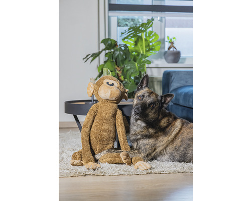 Chien et singe en peluche assis sur un tapis dans un salon.