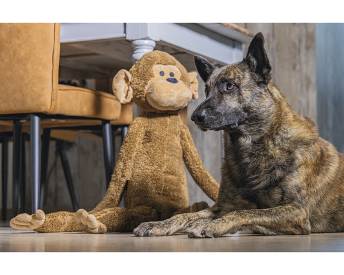 Chien et singe en peluche assis sous une table.