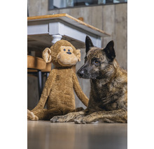 Hund mit Stofftieraffe auf dem Boden vor einem Tisch