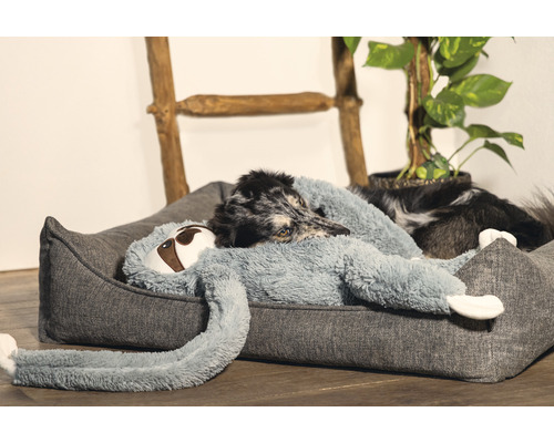 Hund liegt in einem grauen Hundebett mit einem Faultierkuscheltier.