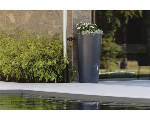 Récupérateur d''eau de pluie avec plantation à côté d''une descente pluviale sur un mur de maison