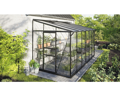 Serre avec étagères, plantes et outils de jardin dans le jardin