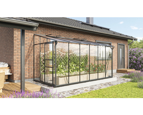 Serre avec plantes dans le jardin