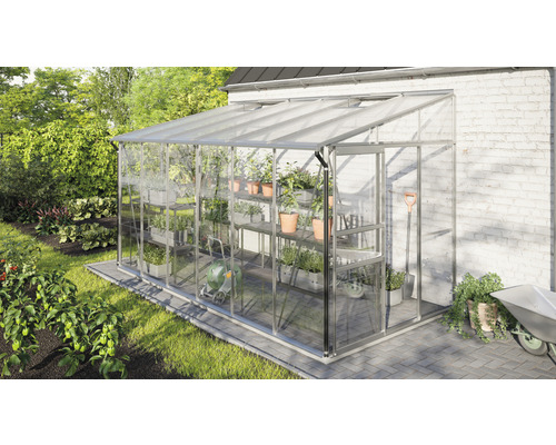 Serre avec plantes et outils de jardin dans le jardin