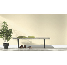 Scène avec banc, coussins, chaussures et plante d''intérieur en pot
