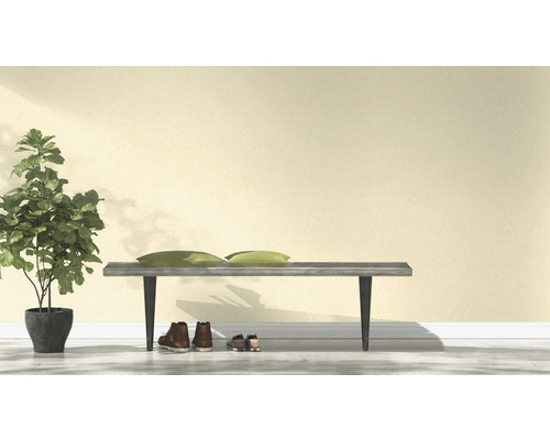 Scène avec banc, coussins, chaussures et plante d''intérieur en pot