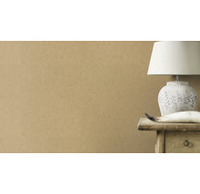 Papier peint intissé 520897 Concrete uni marron