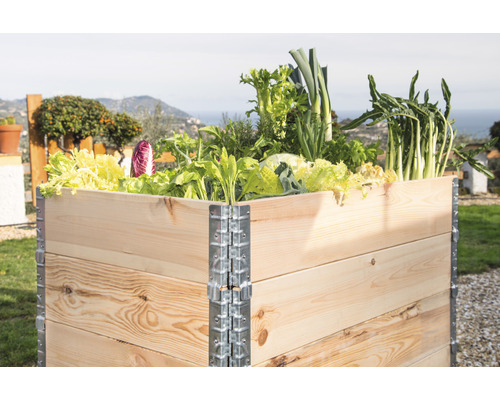 Hochbeet aus Holz mit verschiedenen Gemüsesorten