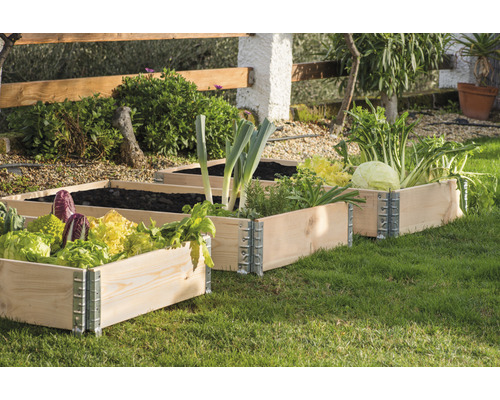 Drei Hochbeete aus Holz im Garten mit Gemüse und Kräutern bepflanzt.