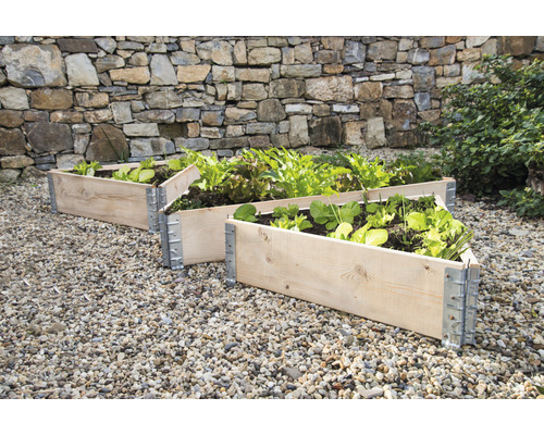 Drei Holzhocheete mit wachsenden Pflanzen im Garten